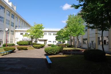 藤島高校
