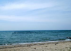 DSCN3618